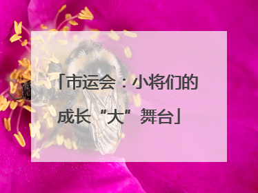 市运会：小将们的成长“大”舞台