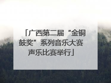 广西第二届“金铜鼓奖”系列音乐大赛声乐比赛举行