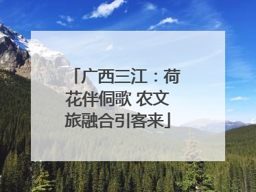 广西三江：荷花伴侗歌 农文旅融合引客来