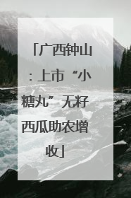 广西钟山：上市“小糖丸”无籽西瓜助农增收
