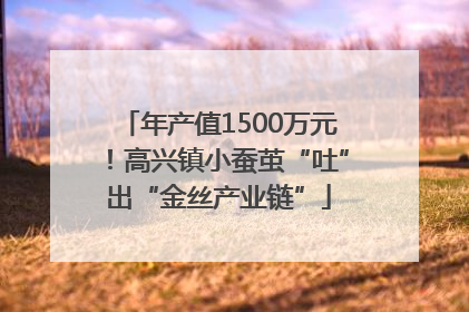 年产值1500万元！高兴镇小蚕茧“吐”出“金丝产业链”