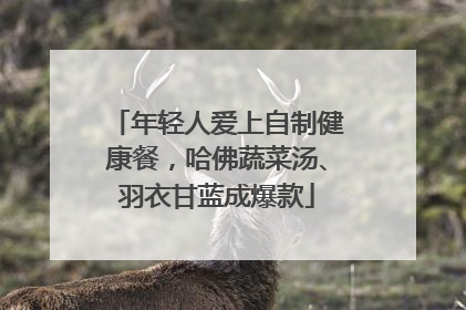 年轻人爱上自制健康餐，哈佛蔬菜汤、羽衣甘蓝成爆款