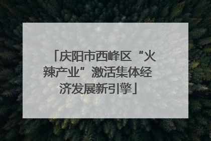 庆阳市西峰区“火辣产业”激活集体经济发展新引擎