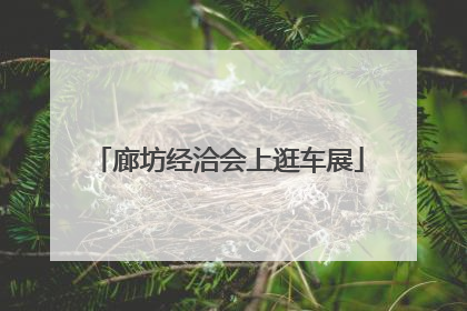 廊坊经洽会上逛车展