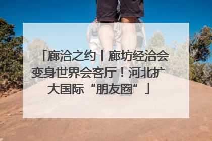 廊洽之约丨廊坊经洽会变身世界会客厅！河北扩大国际“朋友圈”
