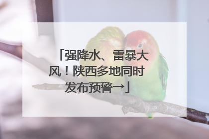 强降水、雷暴大风！陕西多地同时发布预警→