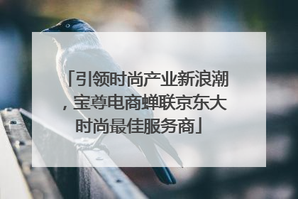 引领时尚产业新浪潮，宝尊电商蝉联京东大时尚最佳服务商