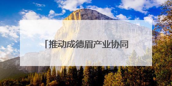 推动成德眉产业协同发展 成都高新区优质企业走进德阳和眉山