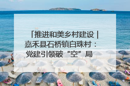 推进和美乡村建设｜嘉禾县石桥镇白珠村：党建引领破“空”局 乡贤聚力绘就新图景
