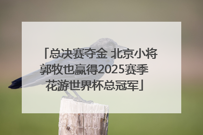 总决赛夺金 北京小将郭牧也赢得2025赛季花游世界杯总冠军