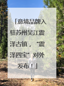 意境品牌入驻苏州吴江震泽古镇，“震泽四宝”对外发布！