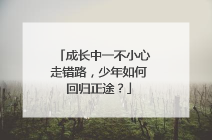 成长中一不小心走错路，少年如何回归正途？