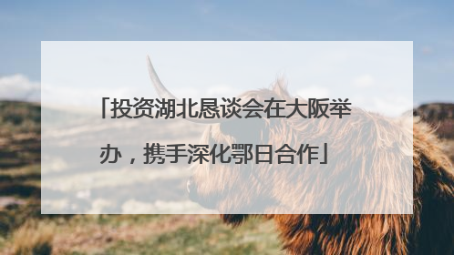 投资湖北恳谈会在大阪举办，携手深化鄂日合作