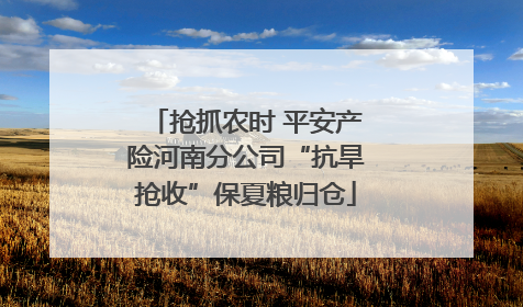 抢抓农时 平安产险河南分公司“抗旱抢收”保夏粮归仓
