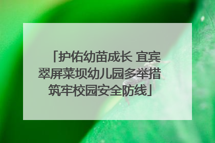 护佑幼苗成长 宜宾翠屏菜坝幼儿园多举措筑牢校园安全防线