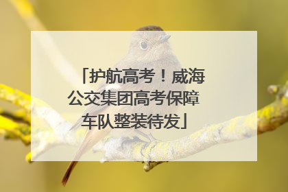 护航高考！威海公交集团高考保障车队整装待发