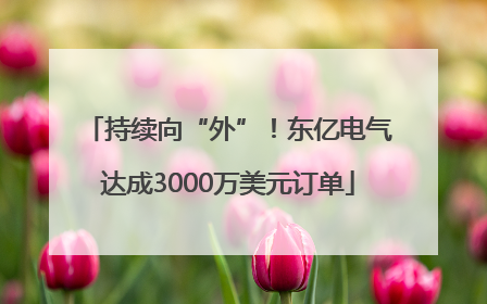持续向“外”！东亿电气达成3000万美元订单