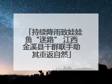 持续降雨致娃娃鱼“迷路” 江西金溪县干群联手助其重返自然