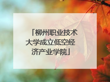 柳州职业技术大学成立低空经济产业学院
