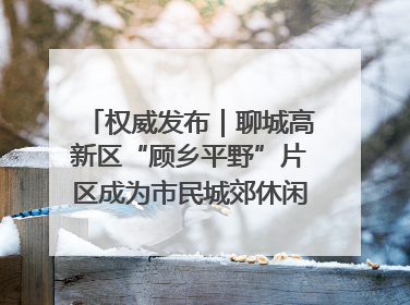 权威发布｜聊城高新区“顾乡平野”片区成为市民城郊休闲全新目的地