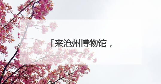 来沧州博物馆，真人NPC带你“穿越”到千年前