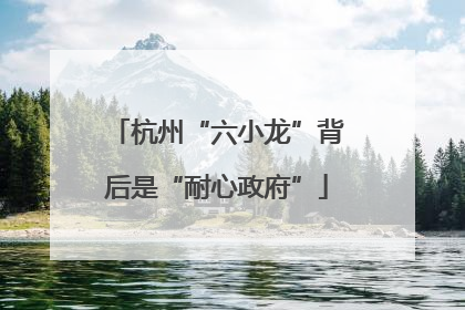 杭州“六小龙”背后是“耐心政府”