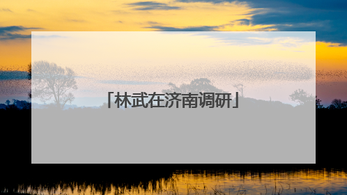 林武在济南调研
