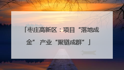 枣庄高新区：项目“落地成金” 产业“聚链成群”