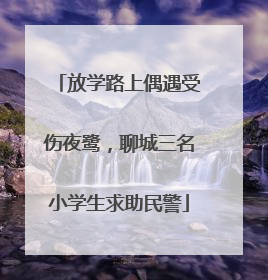 放学路上偶遇受伤夜鹭，聊城三名小学生求助民警