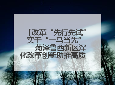 改革“先行先试” 实干“一马当先”——菏泽鲁西新区深化改革创新助推高质量发展纪实