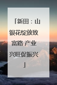 新田：山银花绽放致富路 产业兴旺促振兴