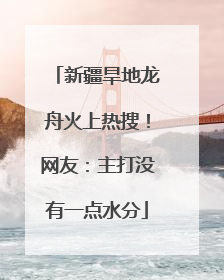 新疆旱地龙舟火上热搜！网友：主打没有一点水分