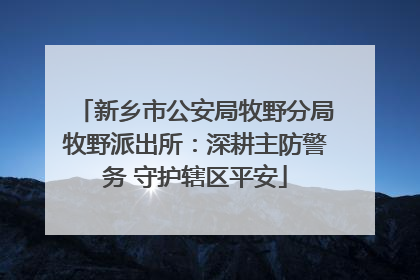 新乡市公安局牧野分局牧野派出所：深耕主防警务 守护辖区平安