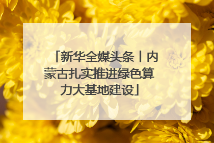 新华全媒头条丨内蒙古扎实推进绿色算力大基地建设