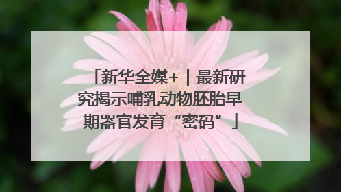 新华全媒+｜最新研究揭示哺乳动物胚胎早期器官发育“密码”