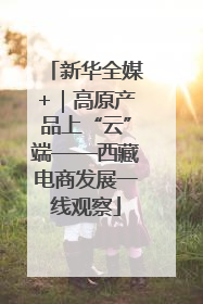 新华全媒+｜高原产品上“云”端——西藏电商发展一线观察