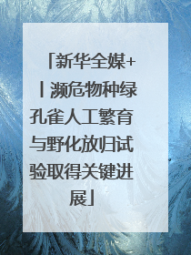 新华全媒+丨濒危物种绿孔雀人工繁育与野化放归试验取得关键进展