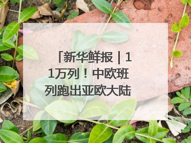 新华鲜报｜11万列！中欧班列跑出亚欧大陆“新时速”