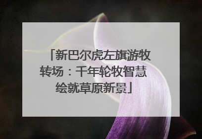 新巴尔虎左旗游牧转场：千年轮牧智慧绘就草原新景