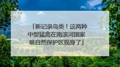 新记录鸟类！这两种中型猛禽在南滚河国家级自然保护区现身了