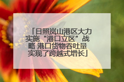 日照岚山港区大力实施“港口立区”战略 港口货物吞吐量实现了跨越式增长