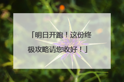 明日开跑！这份终极攻略请您收好！