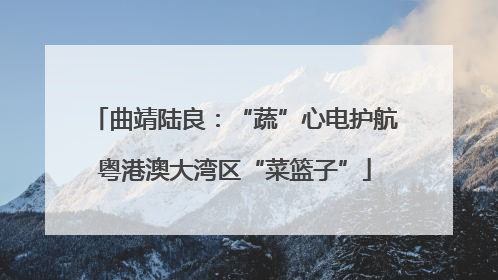 曲靖陆良：“蔬”心电护航粤港澳大湾区“菜篮子”