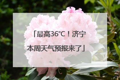 最高36℃！济宁本周天气预报来了