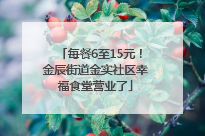 每餐6至15元！金辰街道金实社区幸福食堂营业了