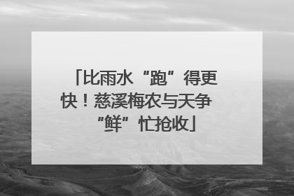 比雨水“跑”得更快！慈溪梅农与天争“鲜”忙抢收
