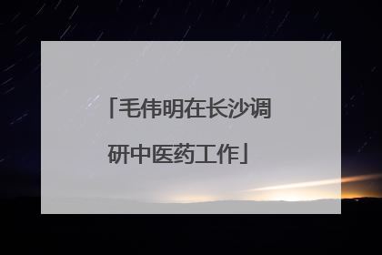 毛伟明在长沙调研中医药工作