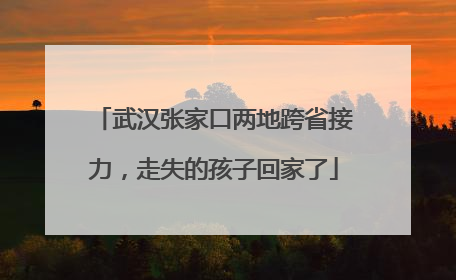 武汉张家口两地跨省接力，走失的孩子回家了