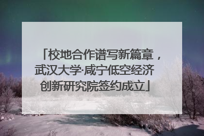 校地合作谱写新篇章，武汉大学·咸宁低空经济创新研究院签约成立