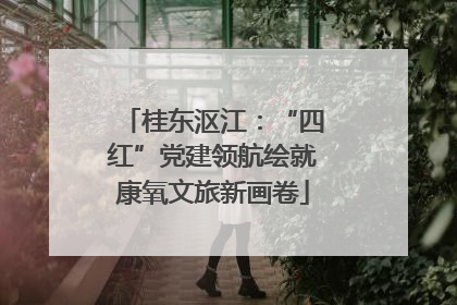 桂东沤江：“四红”党建领航绘就康氧文旅新画卷